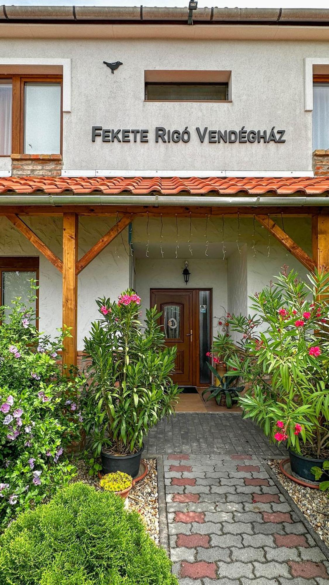 Fekete Rigo Vendeghaz Apartment Egerszalok Ngoại thất bức ảnh